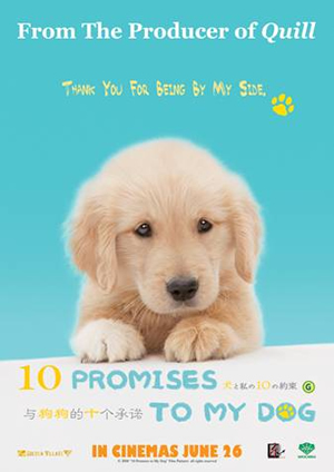 10 Promises To My Dog