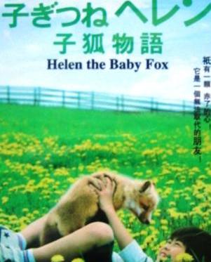 Helen the Baby Fox