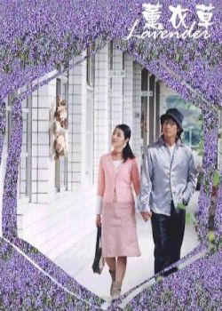 Lavender Taiwanese Drama Episodes English Sub Online Free - Watch