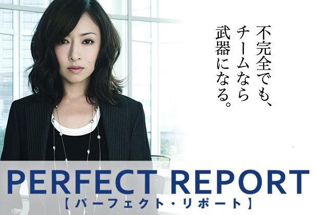 Perfect Report 